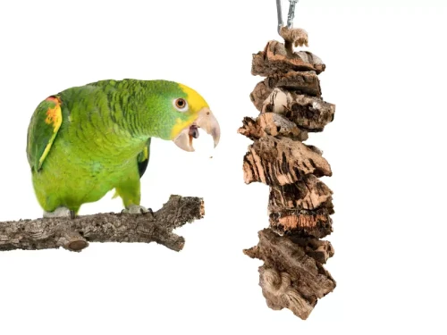 e20296993b0071816c2b195acb86c42e