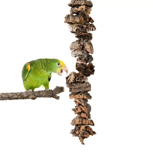 00d807a9a2eb879be0a699dd47d58b81