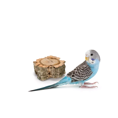 75020a4a31cd01bb6bc2703cc4cdb335