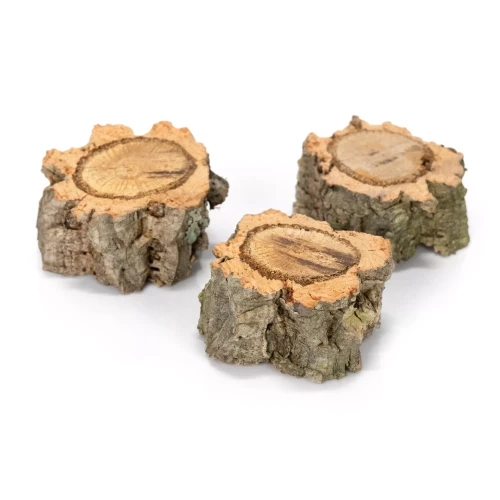 81c1148d99d045f1e711d2e1b5403553