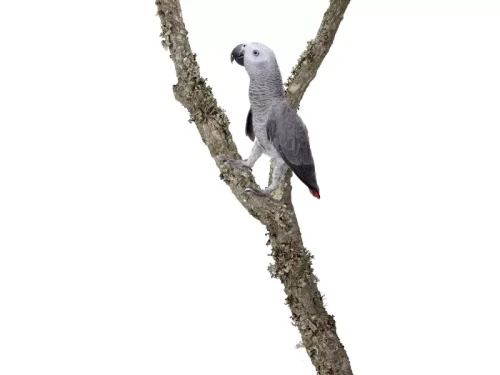 677b813eca7268783e9d3865c81fa088