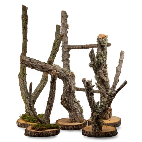 7f57810ab0f49fa67e86ce54f5e95fe2